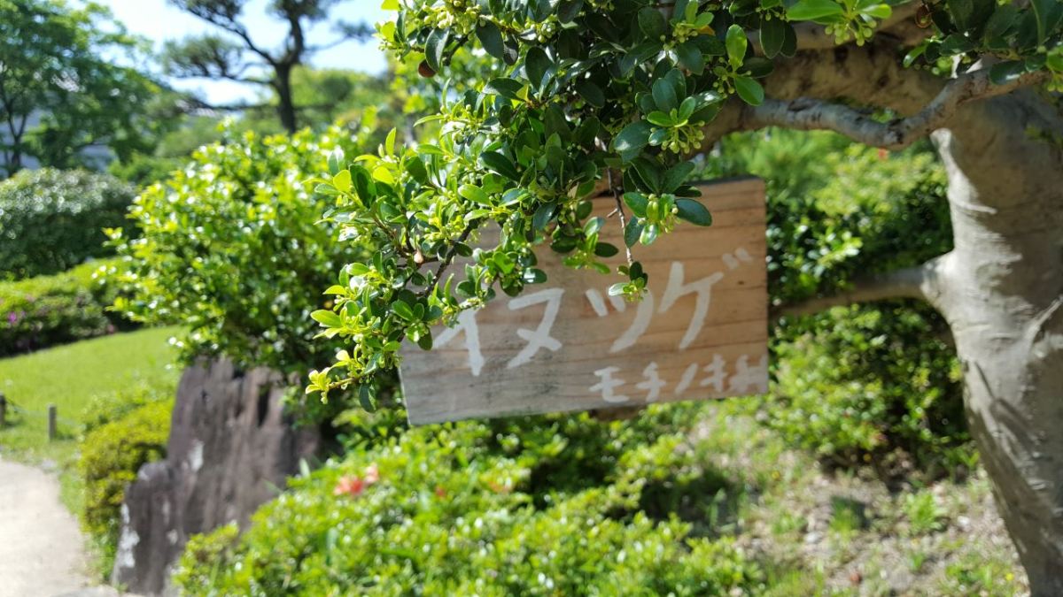 osaka-keitokuen-garden