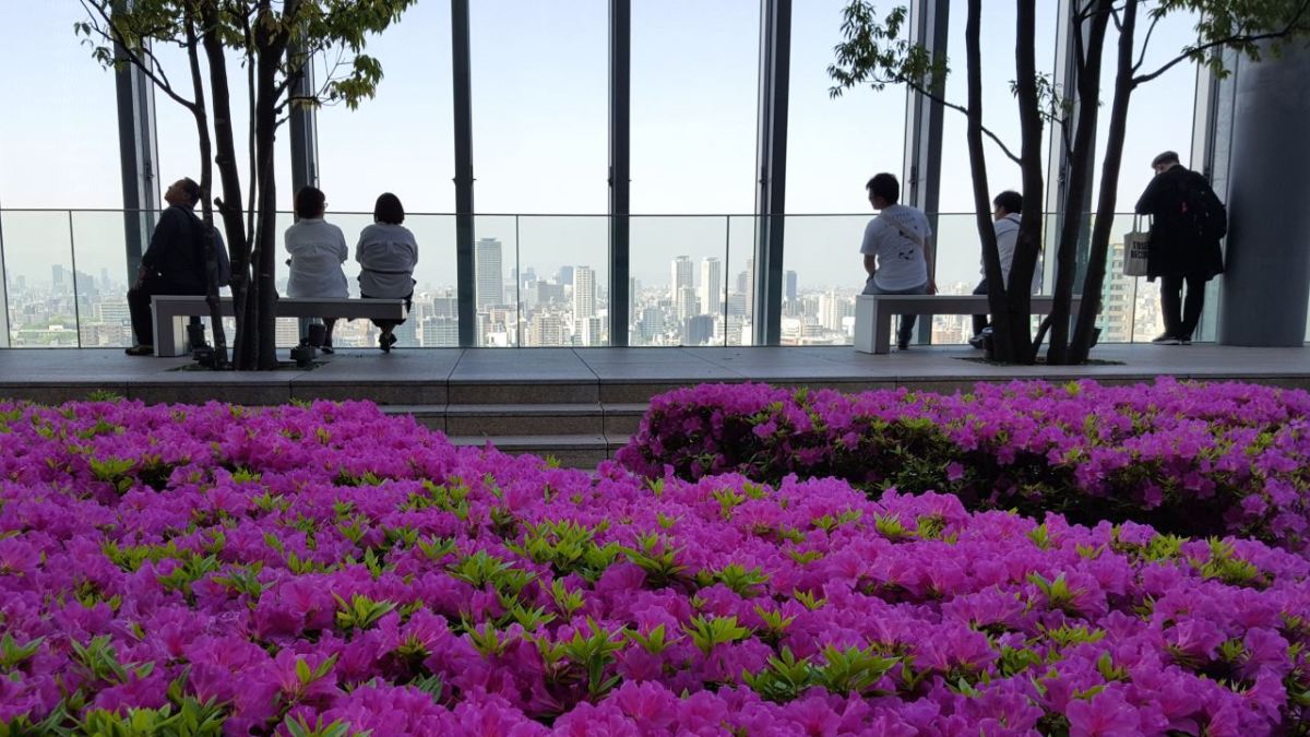 Osaka_roof_garden